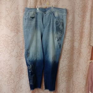 Terraa and Sky plus size jean
